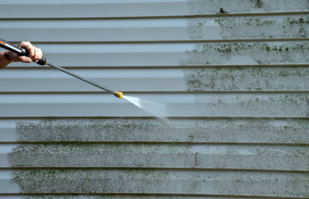 Best Roof Pressure Washing  in Oxford, AL